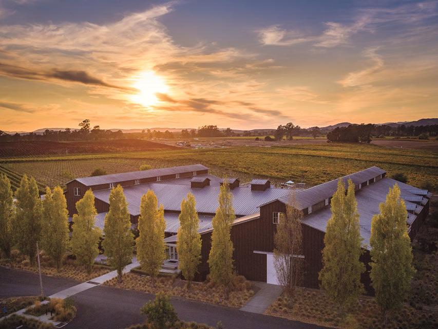 Carneros Rising